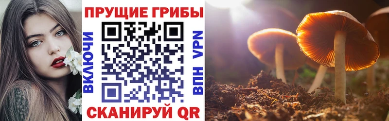 Псилоцибиновые грибы прущие грибы Фатеж